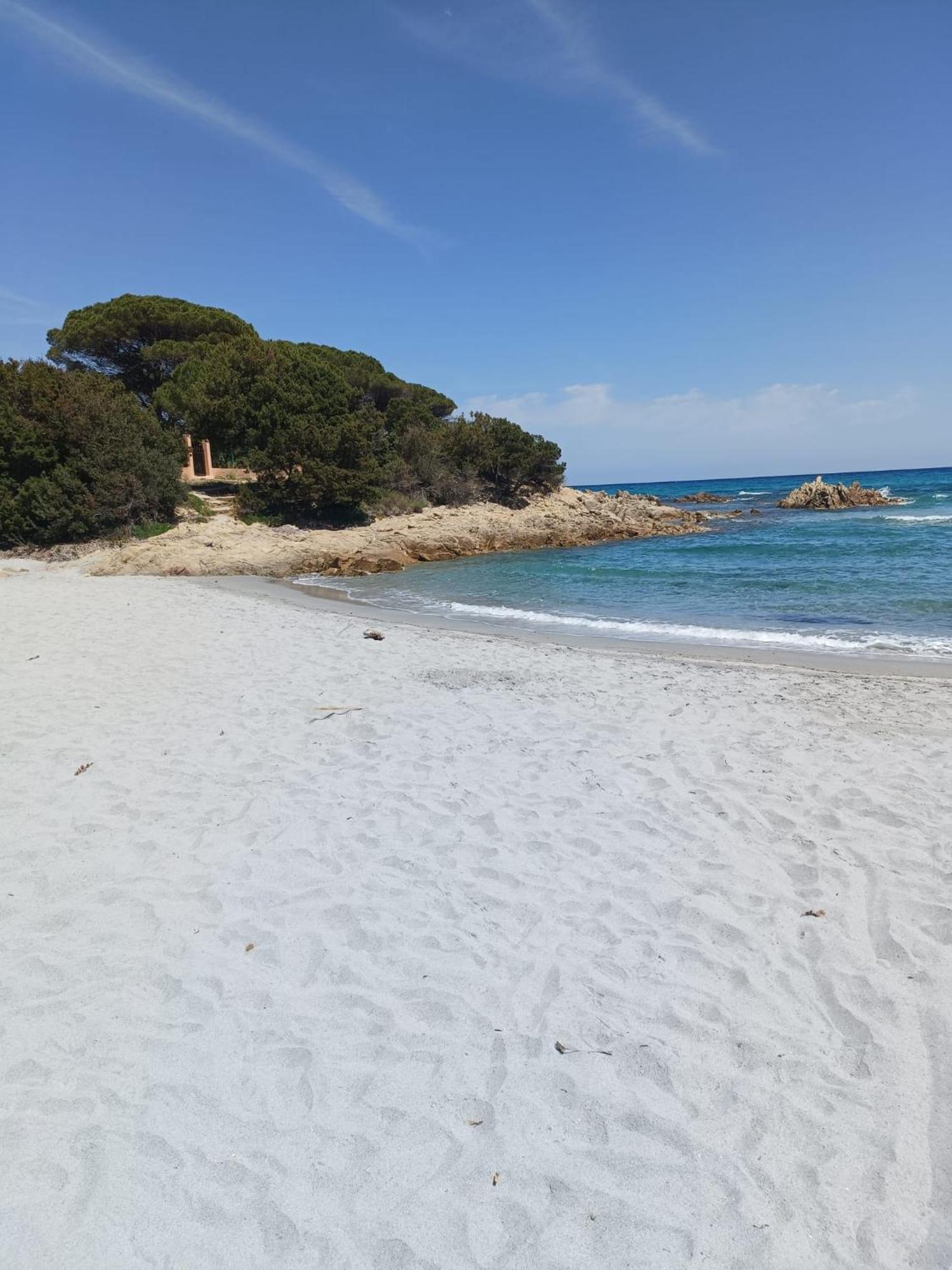 Sorella Luna Room Boutique, Centro Di Olbia Eksteriør bilde