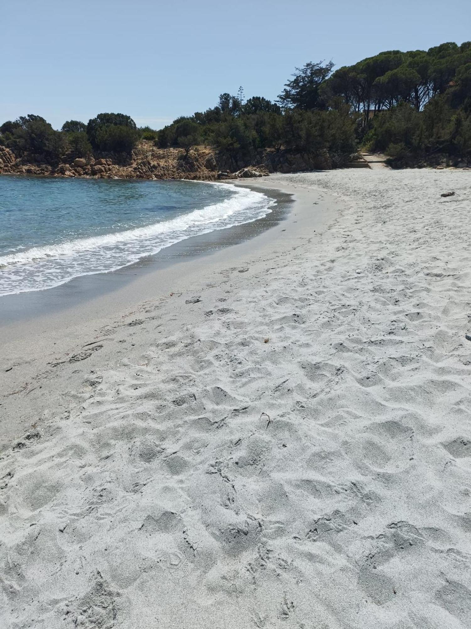 Sorella Luna Room Boutique, Centro Di Olbia Eksteriør bilde